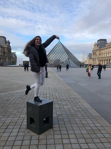 Museo del Louvre