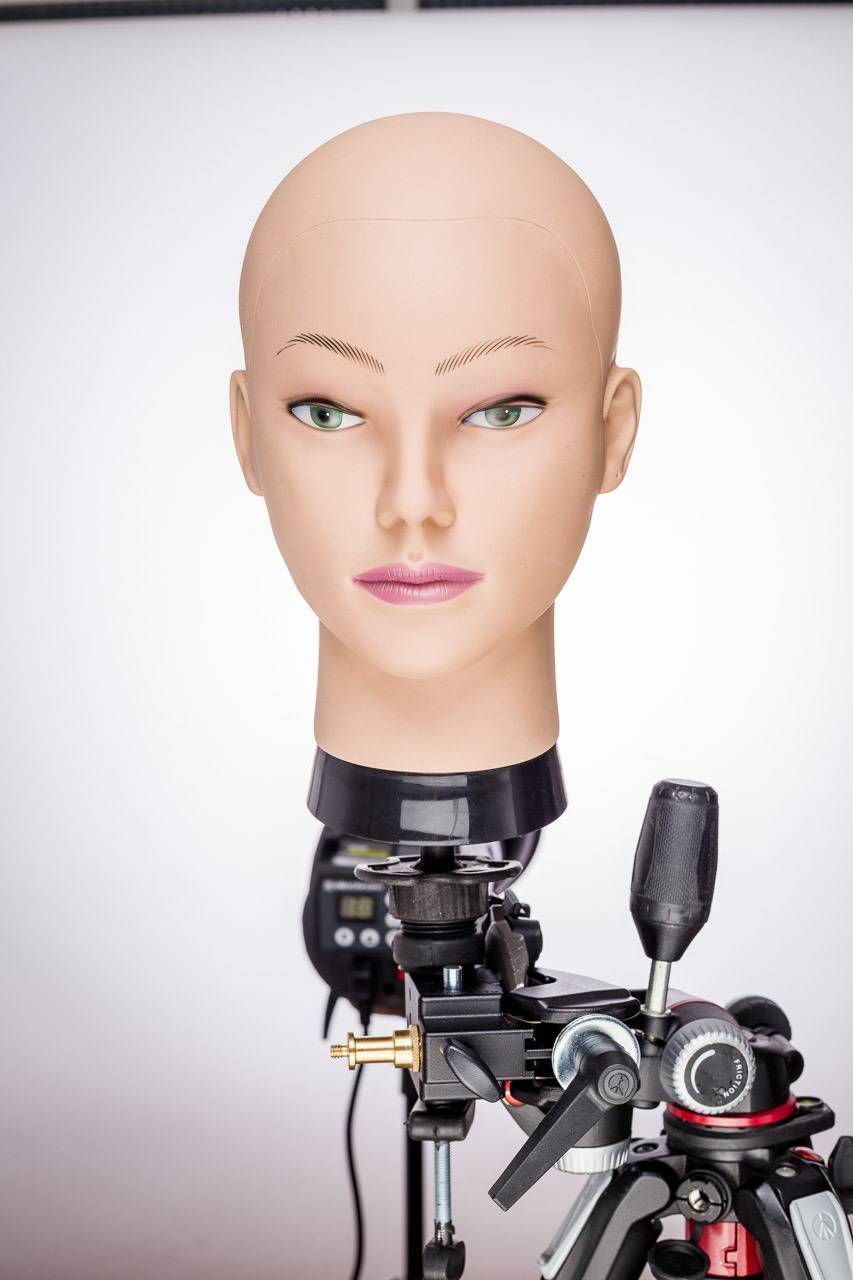 Social Yoga para principiantes