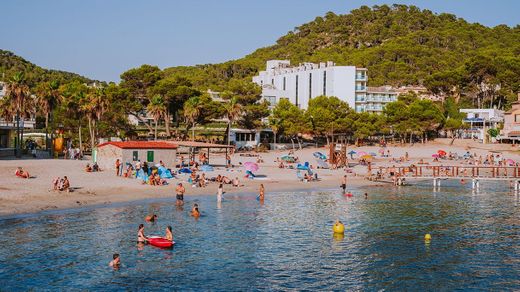 Camp de Mar - abcMallorca giving you the best experience of Mallorca