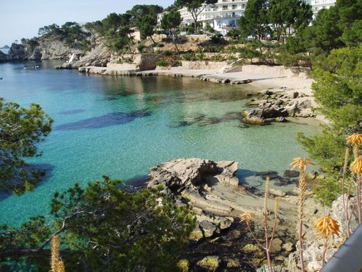 Cala Fornells | Playas Baleares