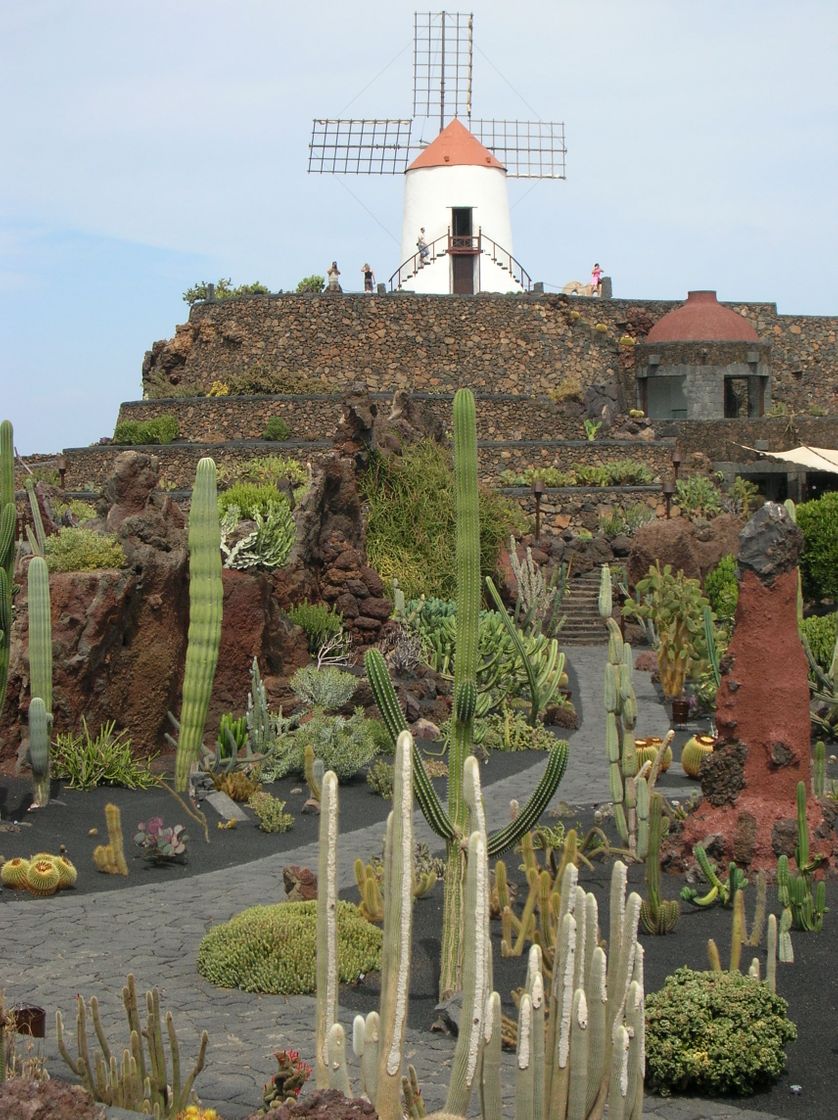 Place Jardin De Cactus