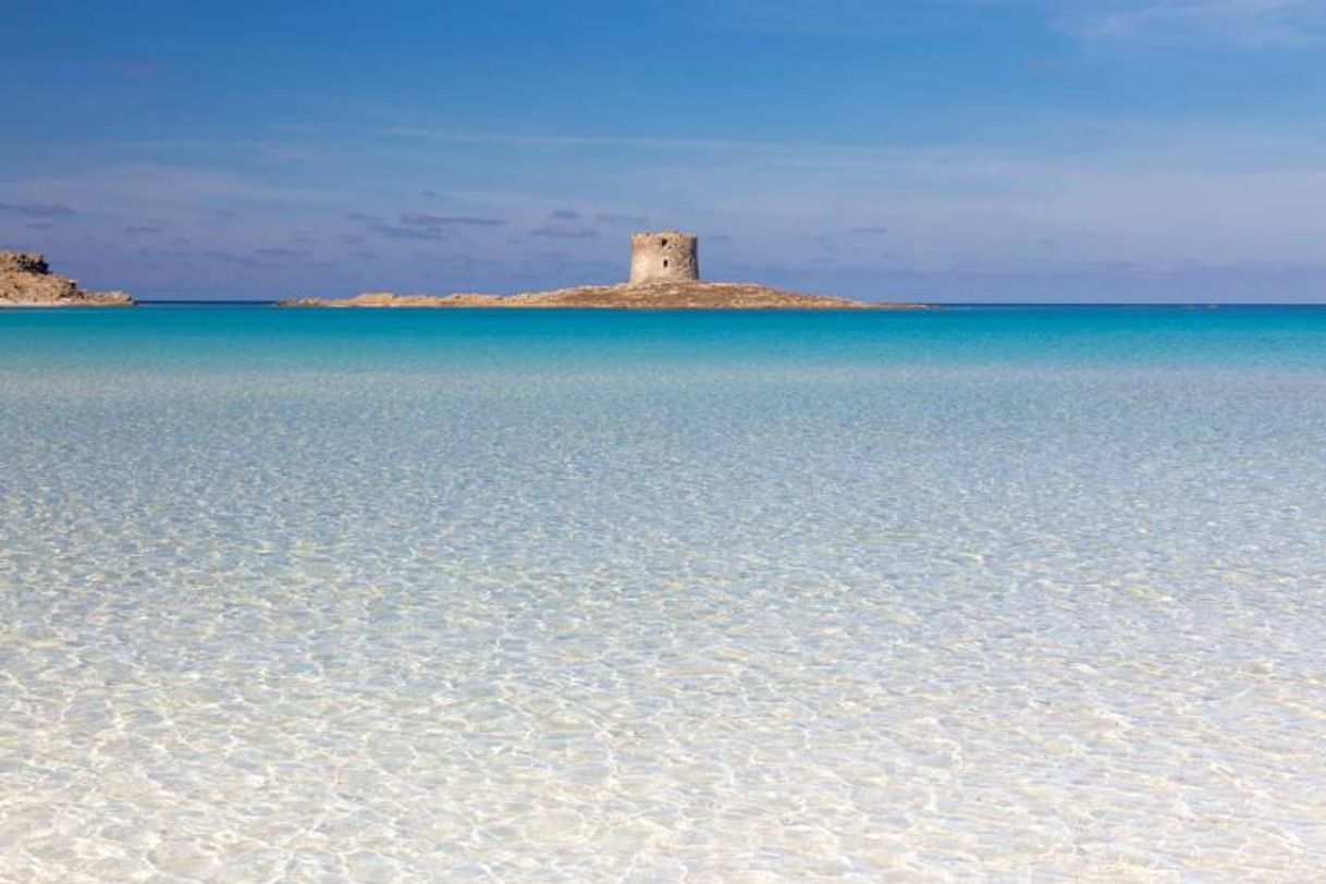 Place Spiaggia La Pelosa