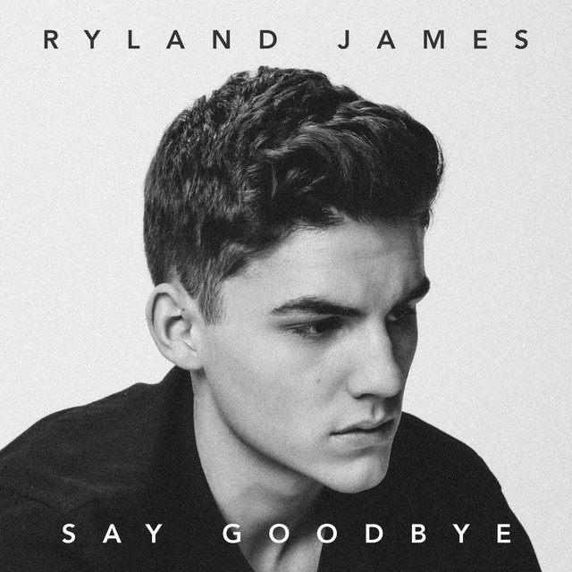 Canción Say Goodbye