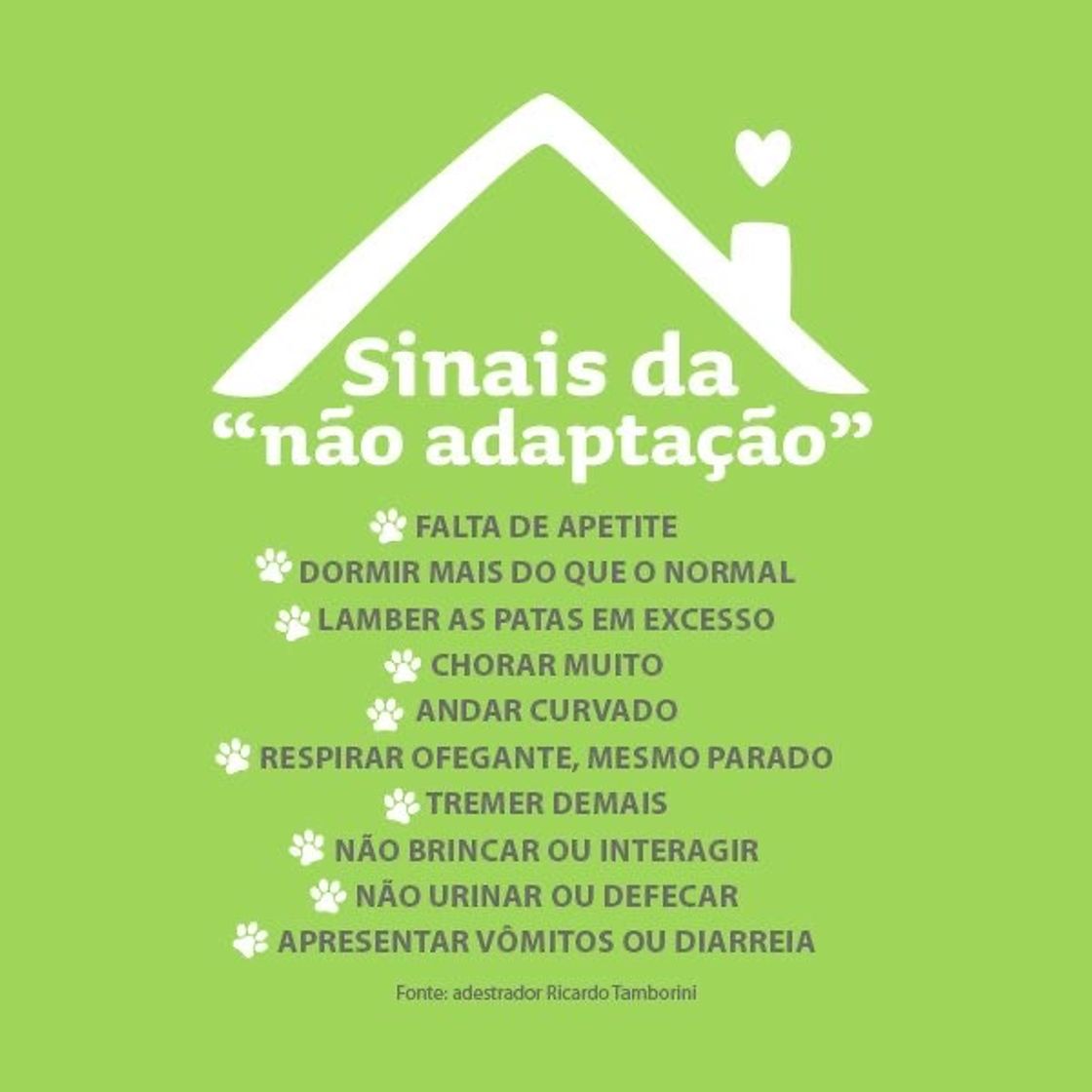 Moda Sinais de não adaptação 