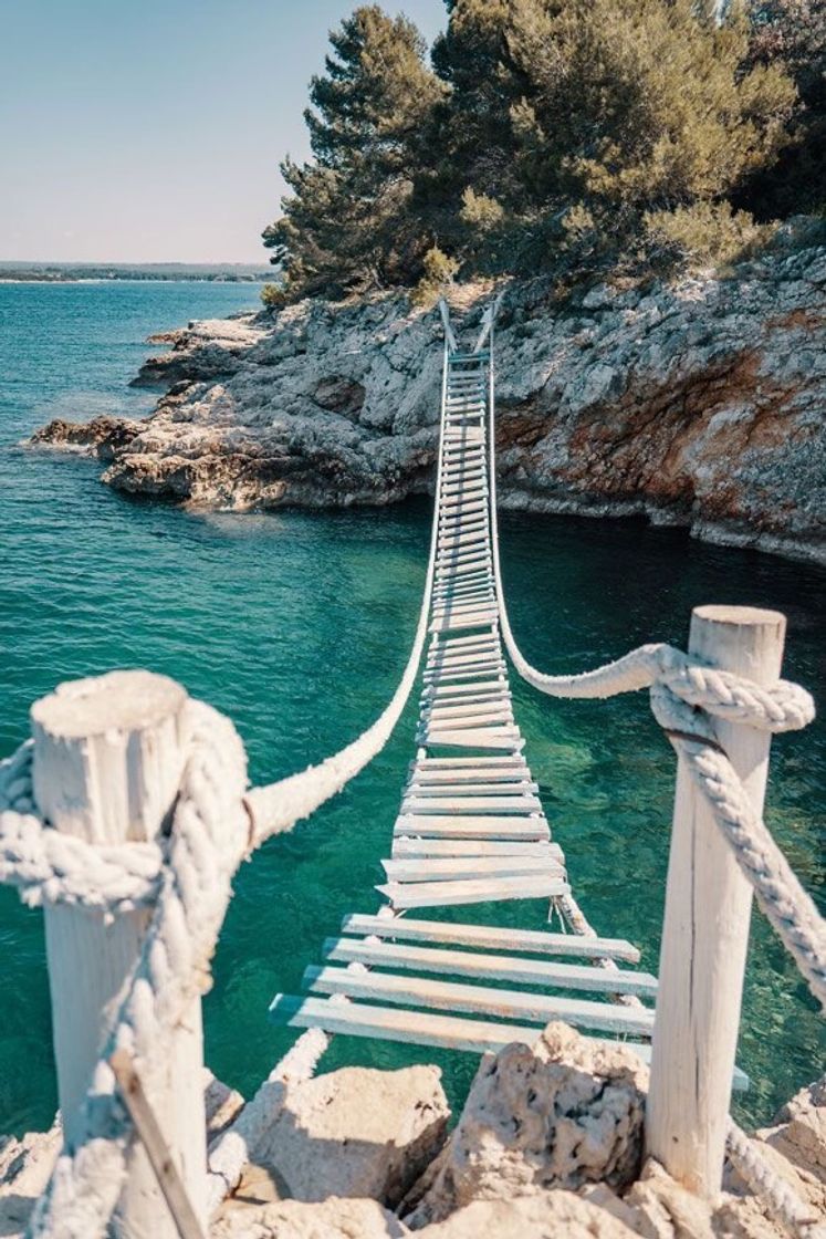 Lugar ROPE BRIDGE