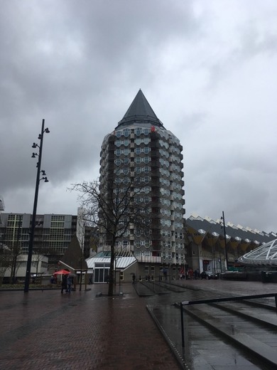 Rotterdam. 