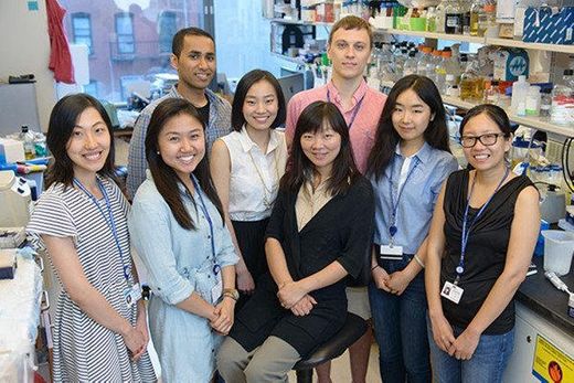 The Ping Chi Lab | Memorial Sloan Kettering Cancer Center