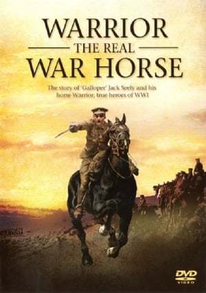 Movie Warrior: The Real War Horse