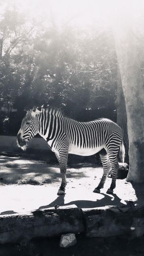 Jardim Zoológico de Lisboa