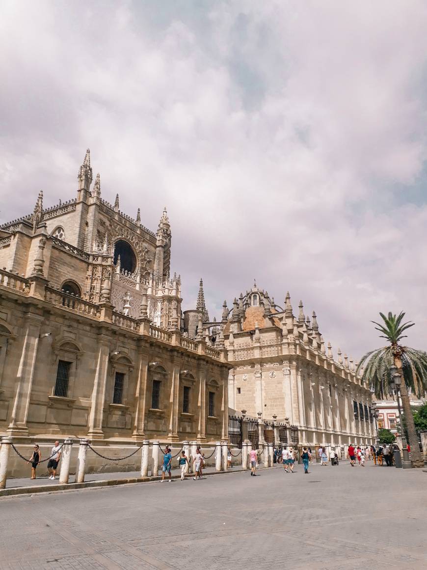 Place Catedral de Sevilla