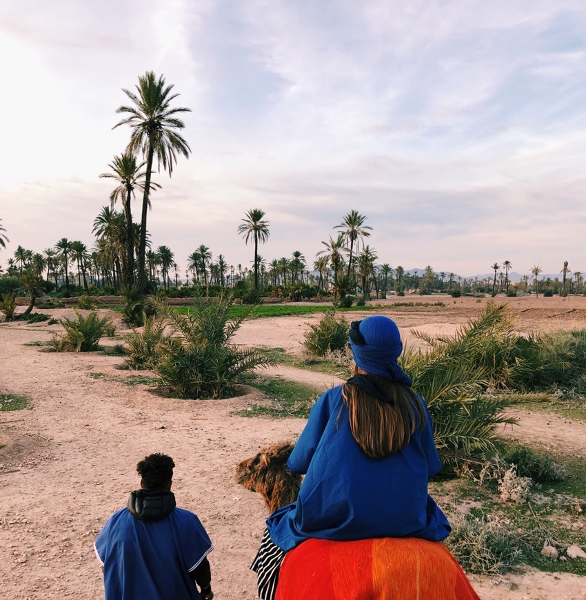 Places Quad Palmeraie Marrakech