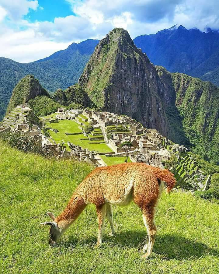 Place Machu Picchu