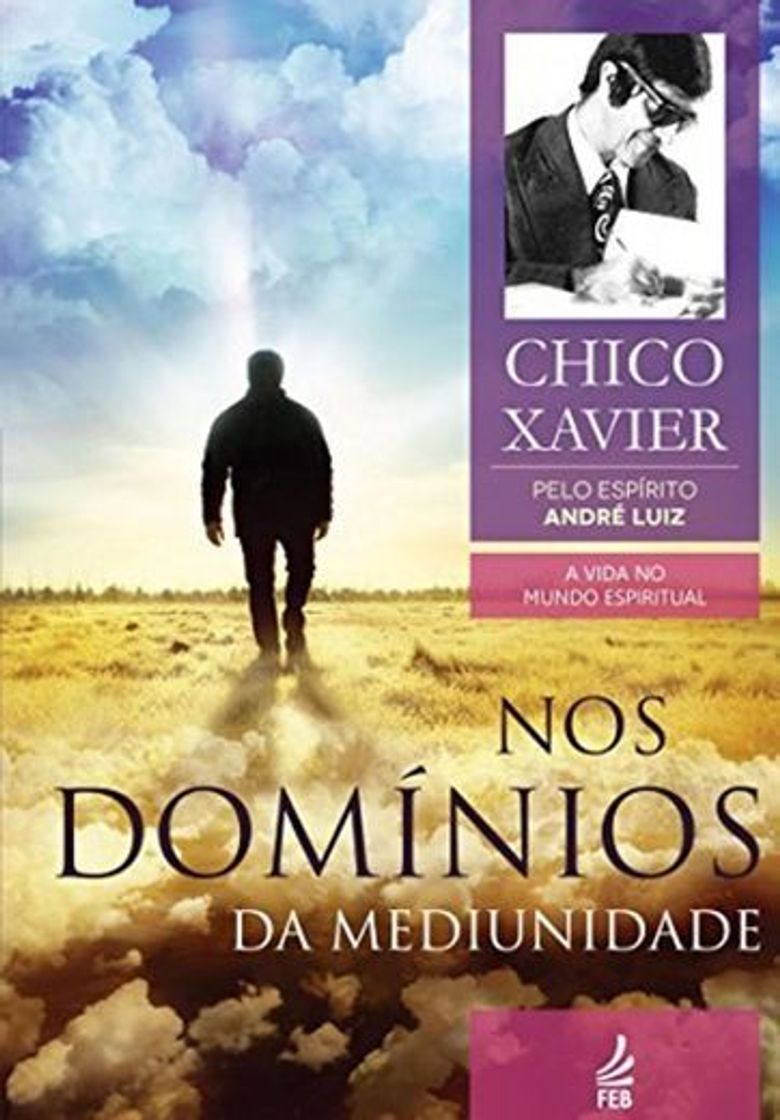 Book Nos Domínios da Mediunidade