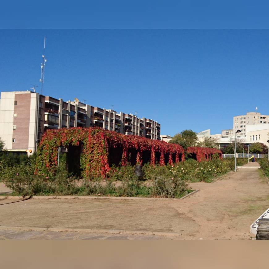 Lugares Rosaleda de la Avenida del Ejército en Guadalajara