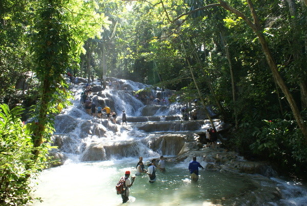 Place Dunns River Falls