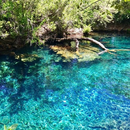 Indigenous Eyes Ecological Reserve