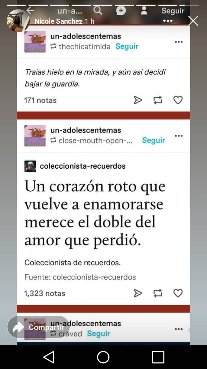 Canción Ignorantes