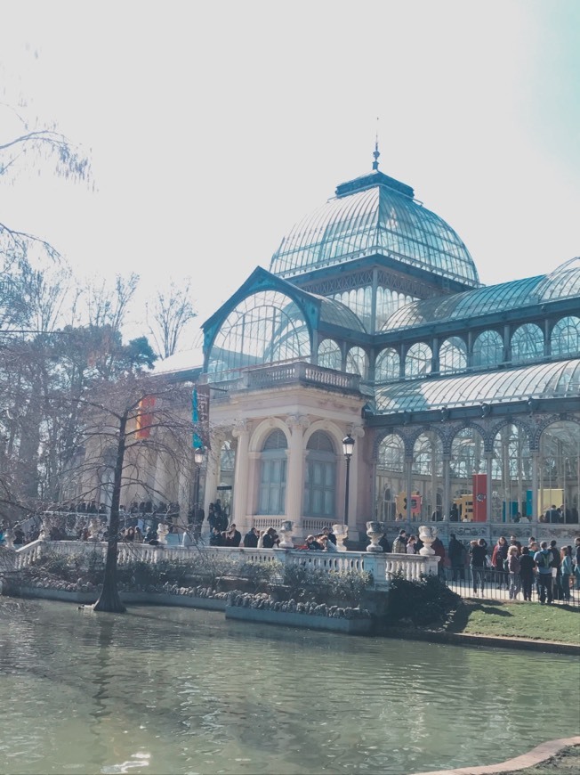 Lugar Palacio de Cristal