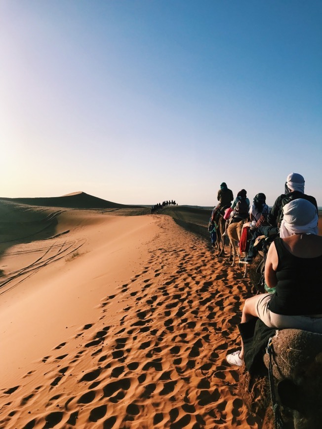 Place Merzouga Desert