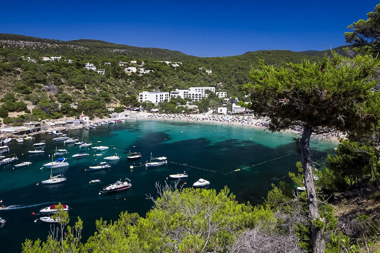 Place Cala Vadella