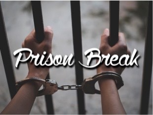 Fashion Prison Break