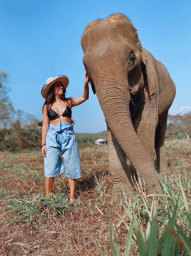 Lugar Lanna Kingdom Elephant Sanctuary