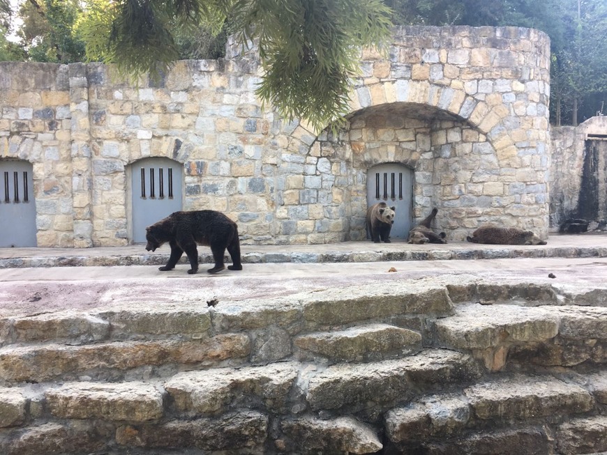 Lugar Jardim Zoológico de Lisboa