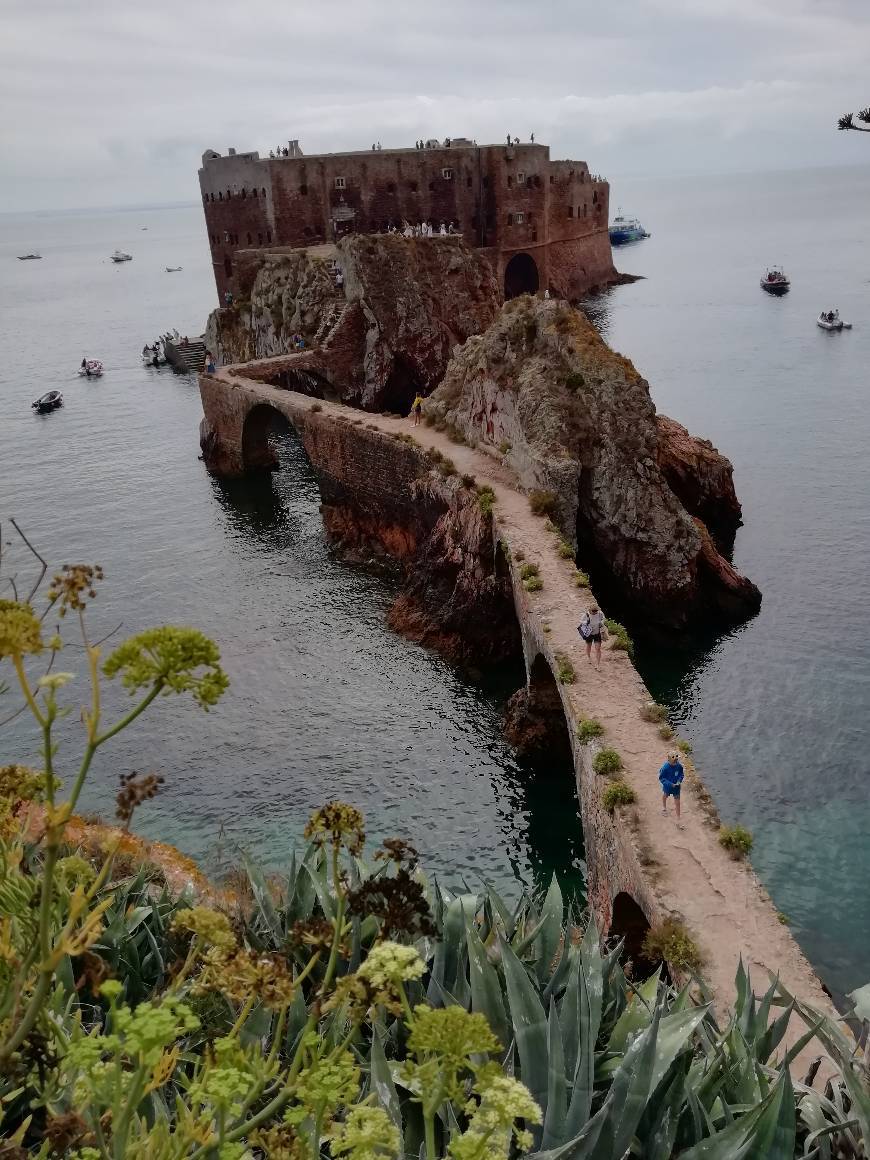 Place Berlengas