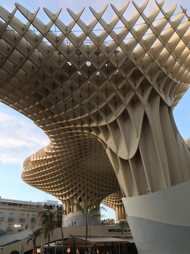 Place Setas de Sevilla