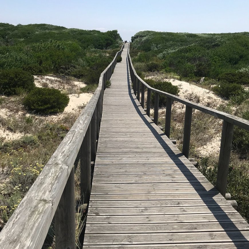 Lugar Reserva Natural das Dunas de São Jacinto