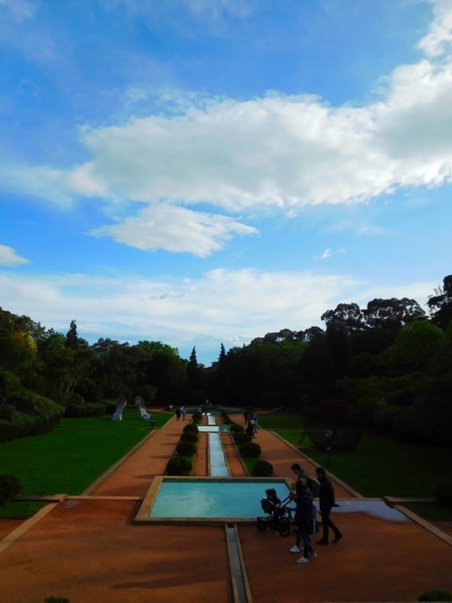 Places Fundação Serralves 