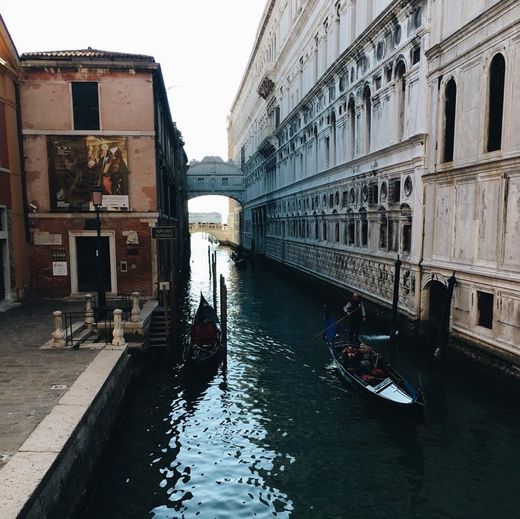 Venecia