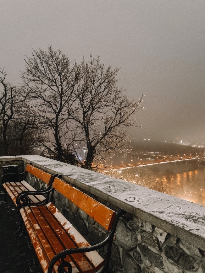 Place Castillo de Bratislava