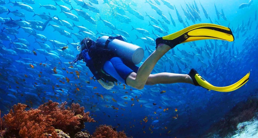 Moda Scuba diving 