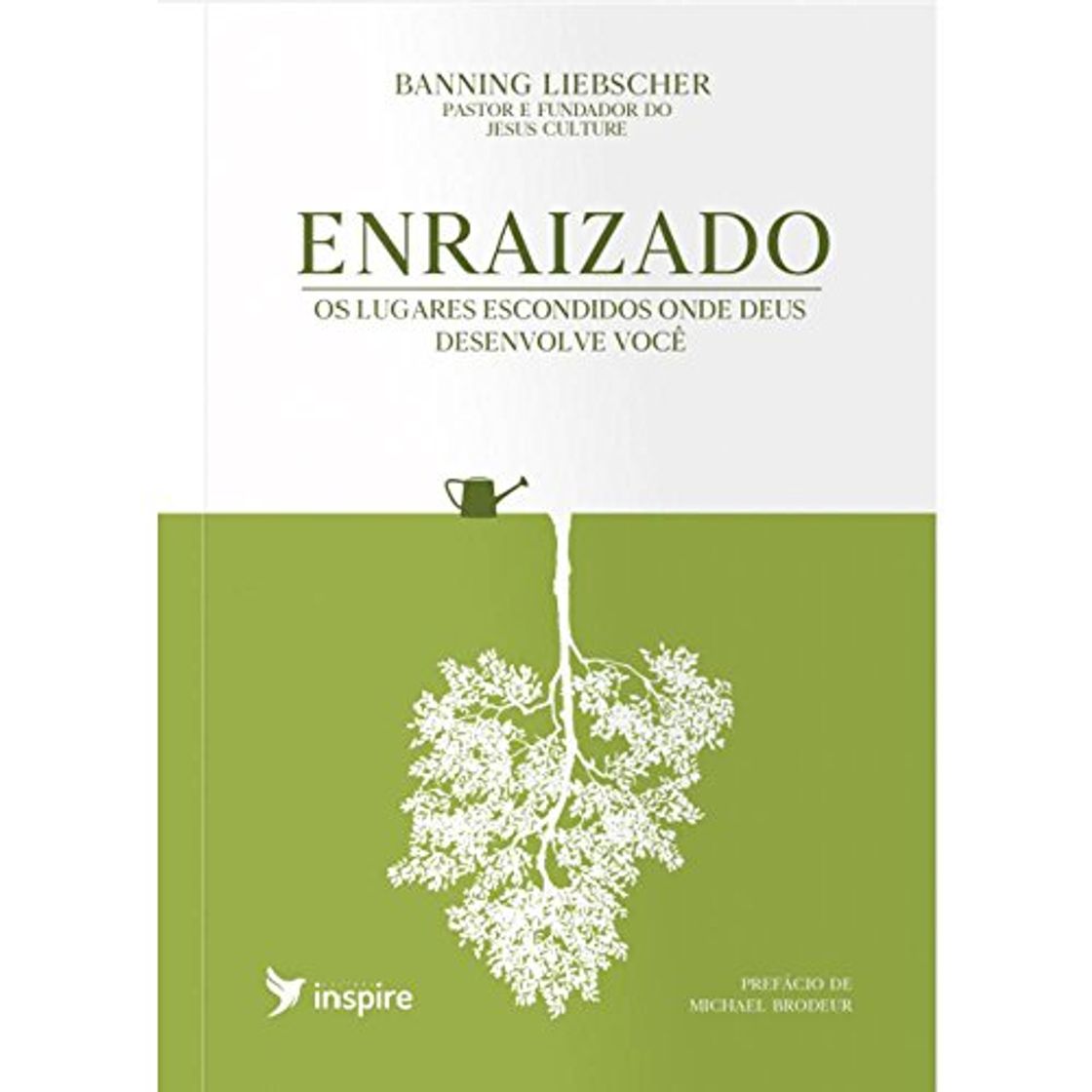 Book Enraizado