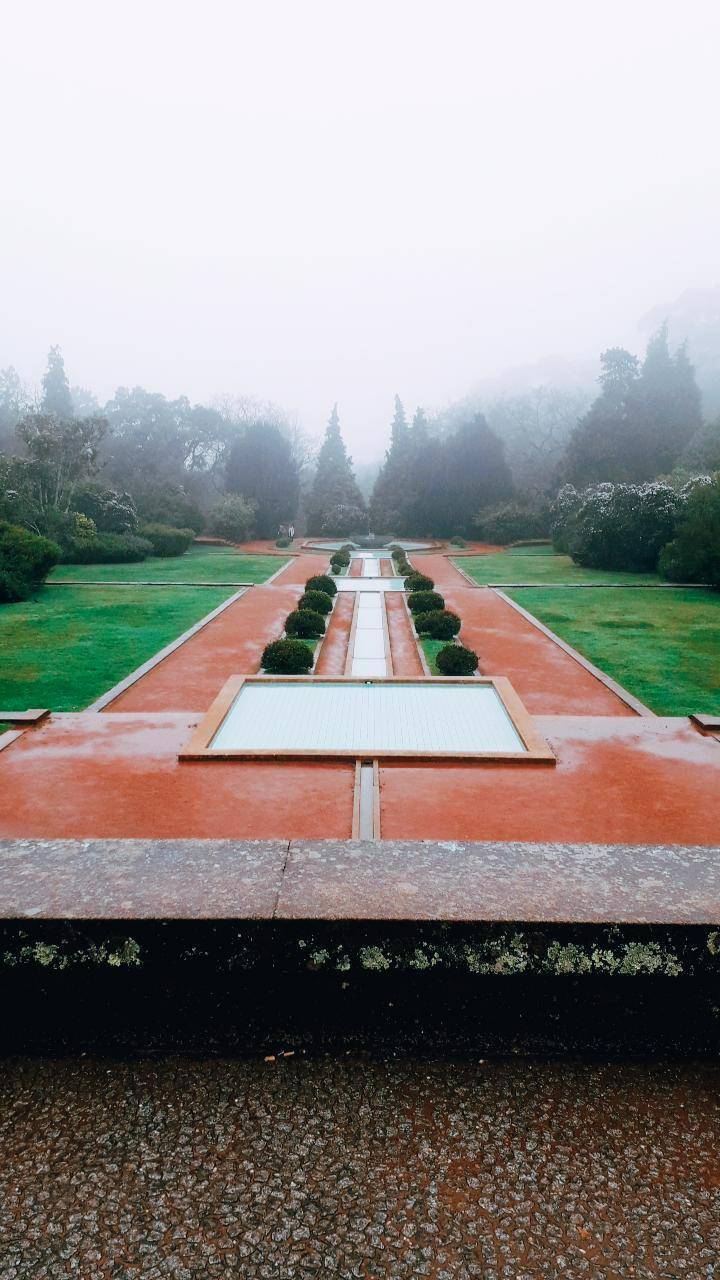 Lugar Parque de Serralves