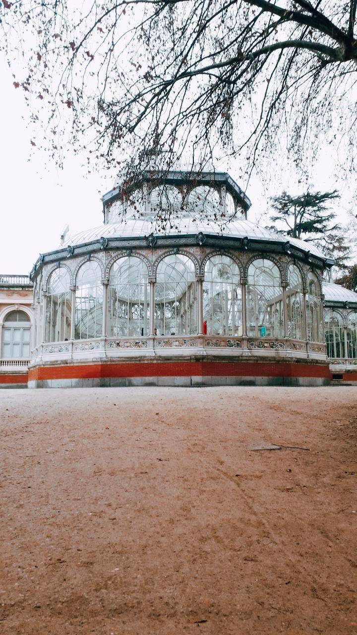 Lugar Palacio de Cristal