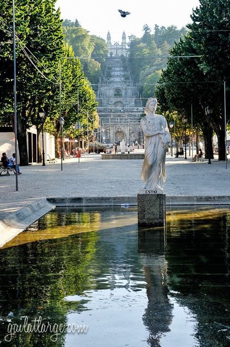 Lugar Avenida Doutor Alfredo de Sousa