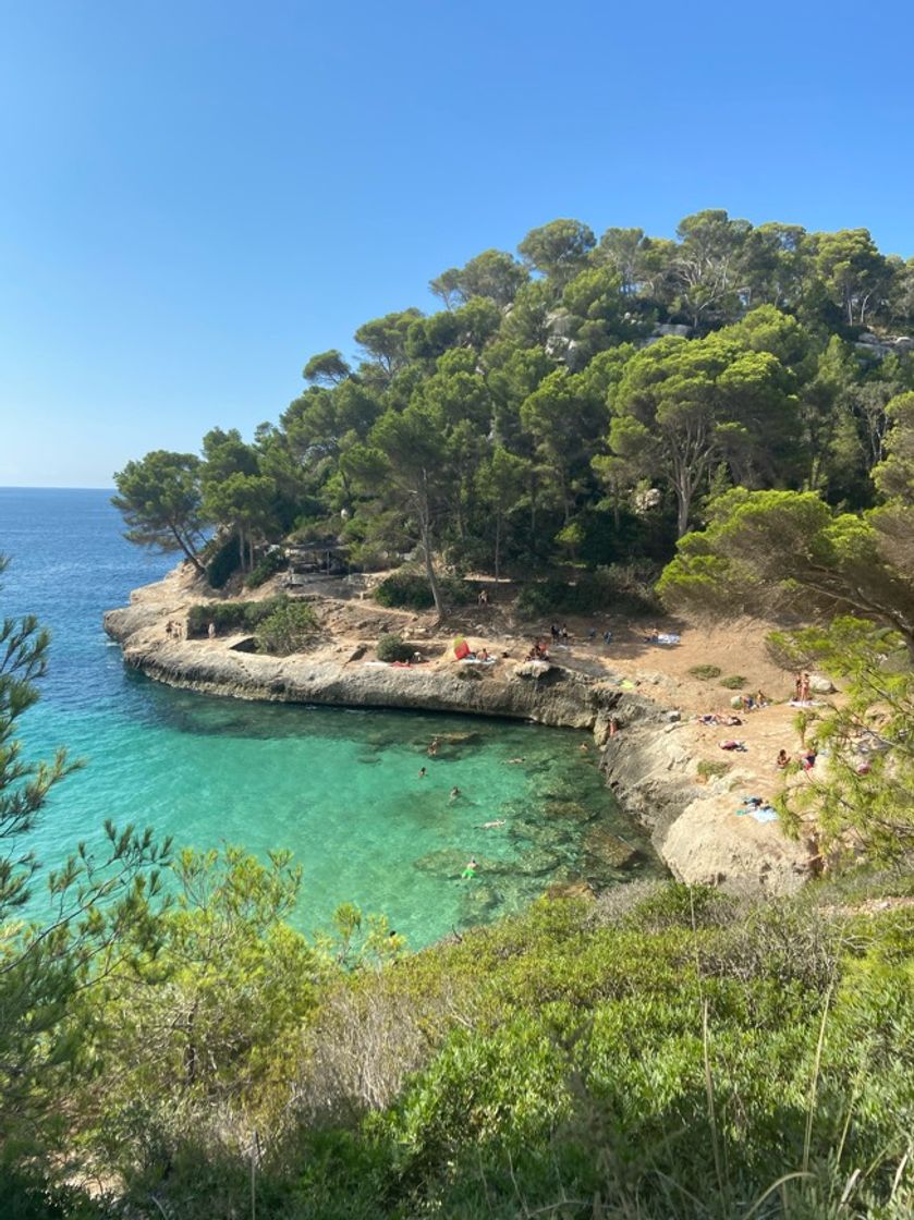 Lugar Cala Mitjaneta