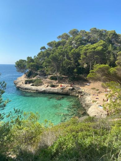 Cala Mitjaneta