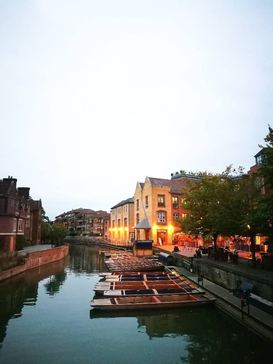 Place Punting Tours Cambridge