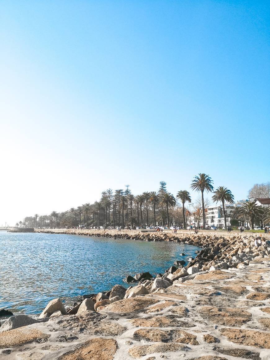 Place Foz do Douro