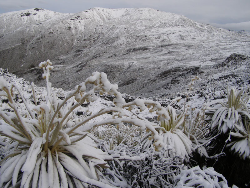 Lugar Pico El Águila