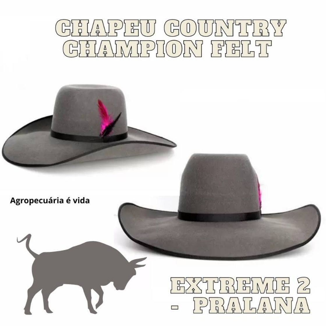 Moda Chapéu country champion EXTREME2