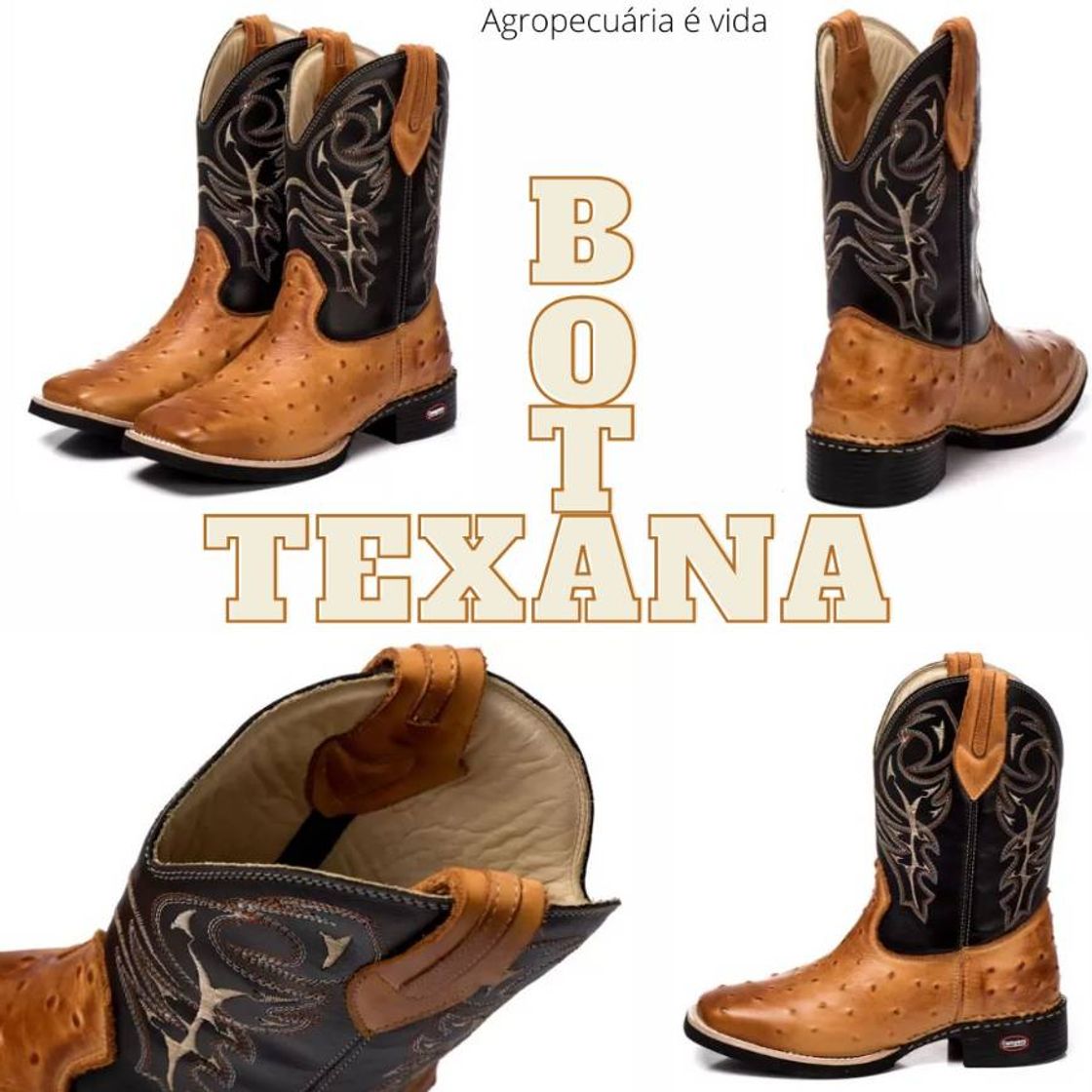 Moda Bota texana