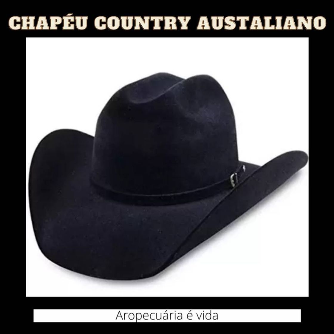 Fashion Chapéu country Australiano