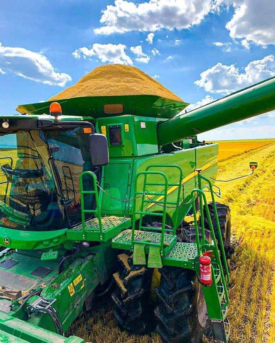 Social Agro e top