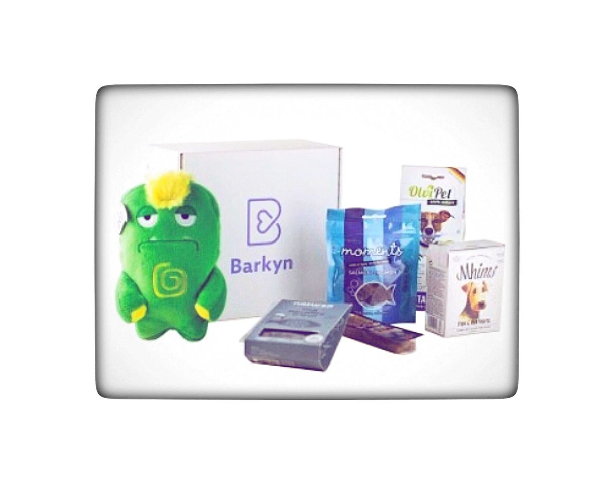 Producto Barkyn Surprise Box