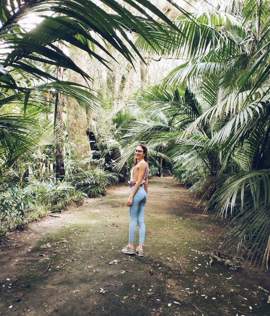 Moda Parque Terra Nostra 🏞️