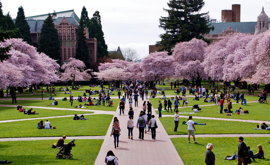 Lugares University of Washington